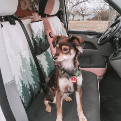 drive dressy seat covers