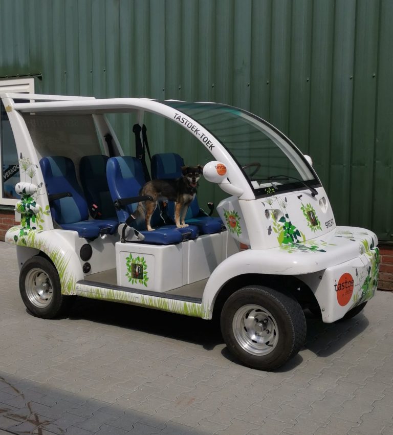 Tuktuk Tour Tuktuk Tour